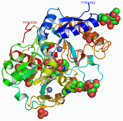 Image Asym./Biol. Unit - manually