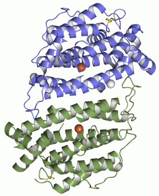 Image Asym./Biol. Unit - manually