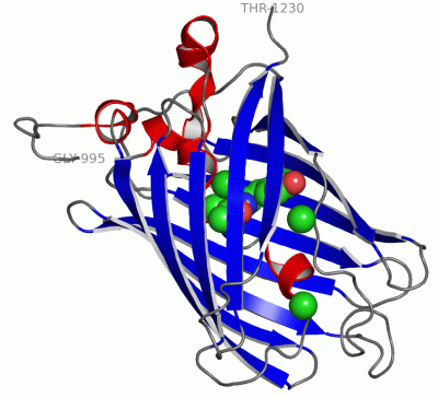 Image Asym./Biol. Unit - manually