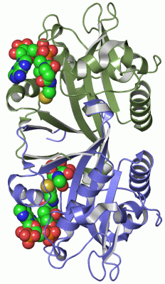 Image Asym./Biol. Unit - manually