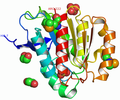 Image Asym./Biol. Unit - manually