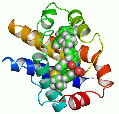 Image NMR Structure - manually