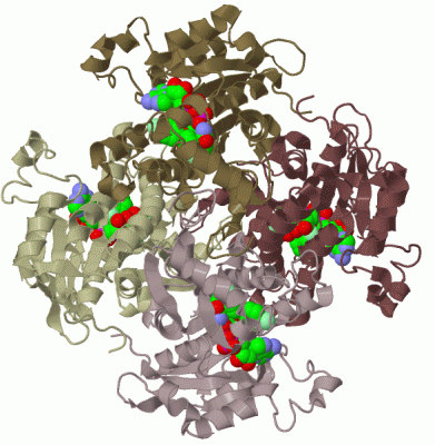 Image Biol.Unit 1 - manually