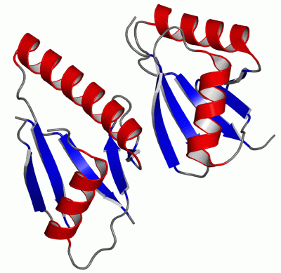 Image Asym./Biol. Unit - manually