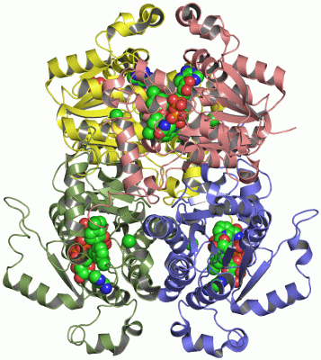 Image Asym./Biol. Unit - manually