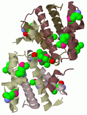 Image Biol.Unit 1 - manually