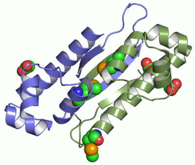 Image Asym./Biol. Unit - manually