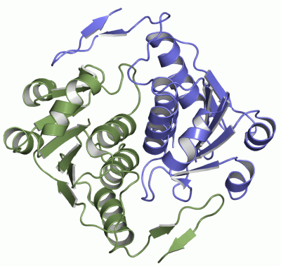 Image Asym./Biol. Unit - manually