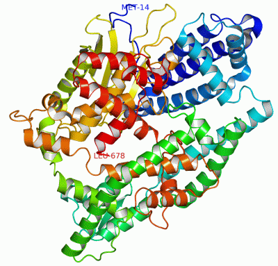 Image Asym./Biol. Unit - manually