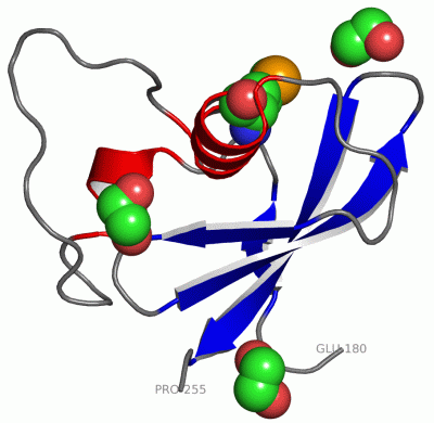 Image Asym./Biol. Unit - manually