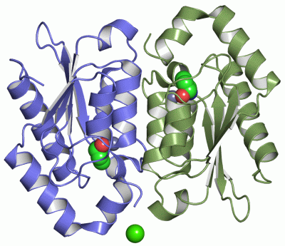 Image Asym./Biol. Unit - manually