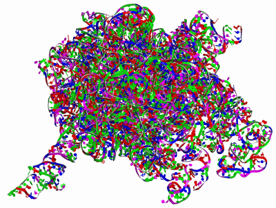 Image Asym./Biol. Unit - manually