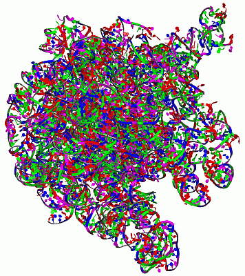 Image Asym./Biol. Unit - manually