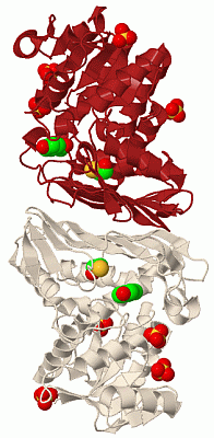 Image Biol.Unit 1 - manually