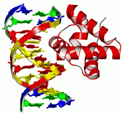 Image Asym./Biol. Unit - manually