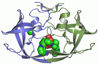 Image Asym./Biol. Unit - manually