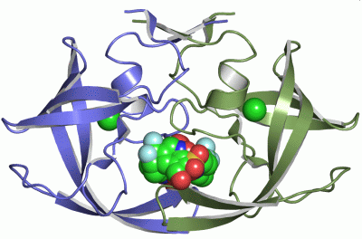 Image Asym./Biol. Unit - manually
