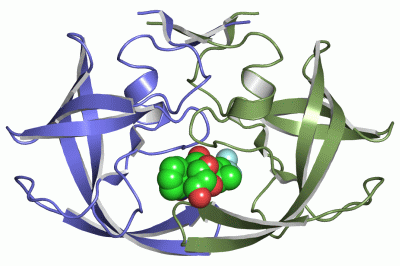 Image Asym./Biol. Unit - manually