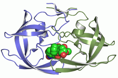 Image Asym./Biol. Unit - manually