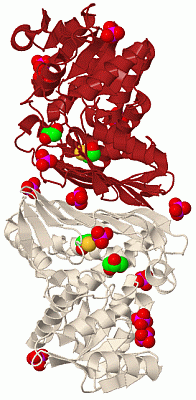 Image Biol.Unit 1 - manually