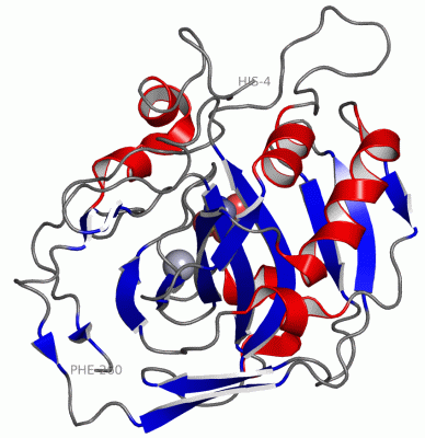 Image Asym./Biol. Unit - manually