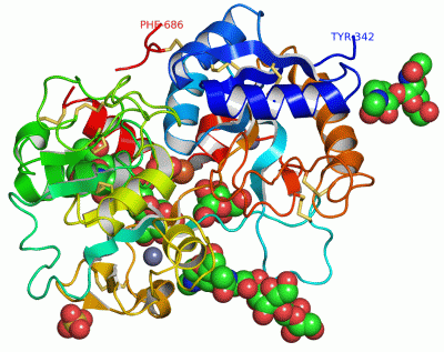 Image Asym./Biol. Unit - manually