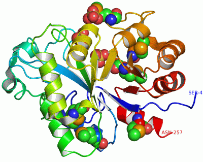 Image Asym./Biol. Unit - manually