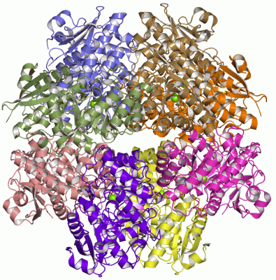 Image Asym./Biol. Unit - manually