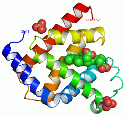 Image Asym./Biol. Unit - manually