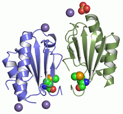 Image Asym./Biol. Unit - manually