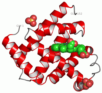 Image Asym./Biol. Unit - manually