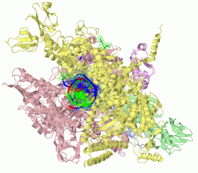 Image Biol.Unit 1 - manually