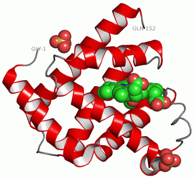 Image Asym./Biol. Unit - manually