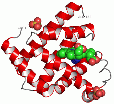 Image Asym./Biol. Unit - manually