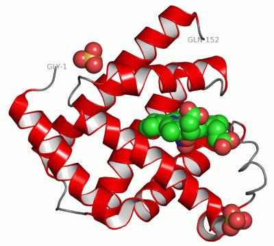 Image Asym./Biol. Unit - manually