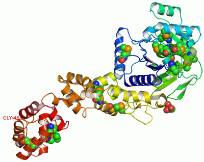 Image Asym./Biol. Unit - manually