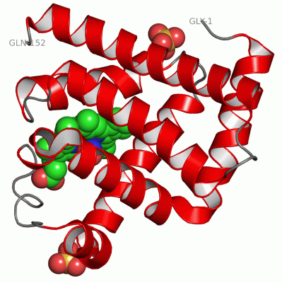 Image Asym./Biol. Unit - manually