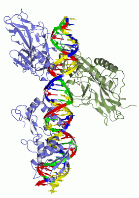 Image Asym./Biol. Unit - manually