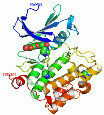 Image Asym./Biol. Unit - manually