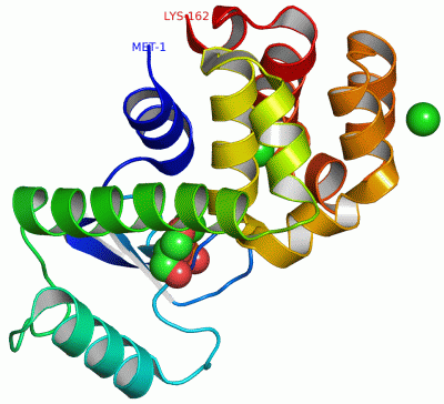 Image Asym./Biol. Unit - manually