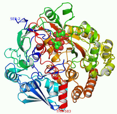 Image Asym./Biol. Unit - manually