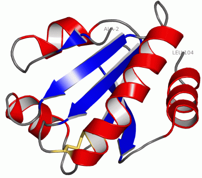 Image Asym./Biol. Unit - manually