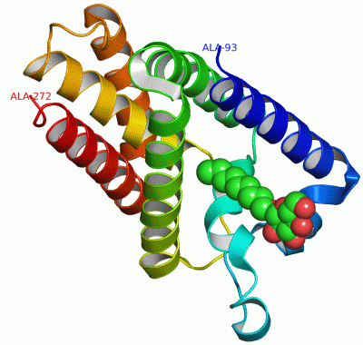 Image Asym./Biol. Unit - manually