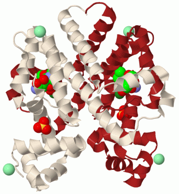 Image Biol.Unit 1 - manually