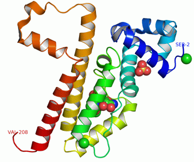 Image Asym.Unit - manually