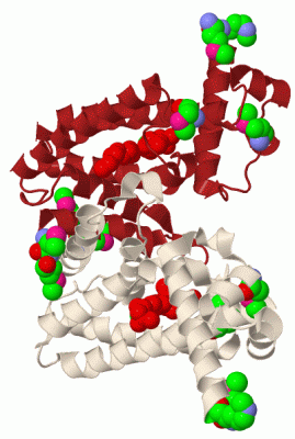 Image Biol.Unit 1 - manually