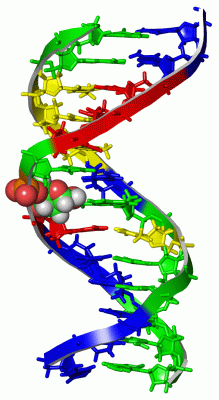 Image NMR Structure - manually