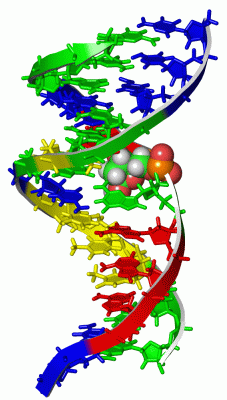 Image NMR Structure - manually