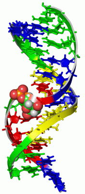 Image NMR Structure - manually