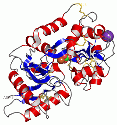 Image Asym./Biol. Unit - manually